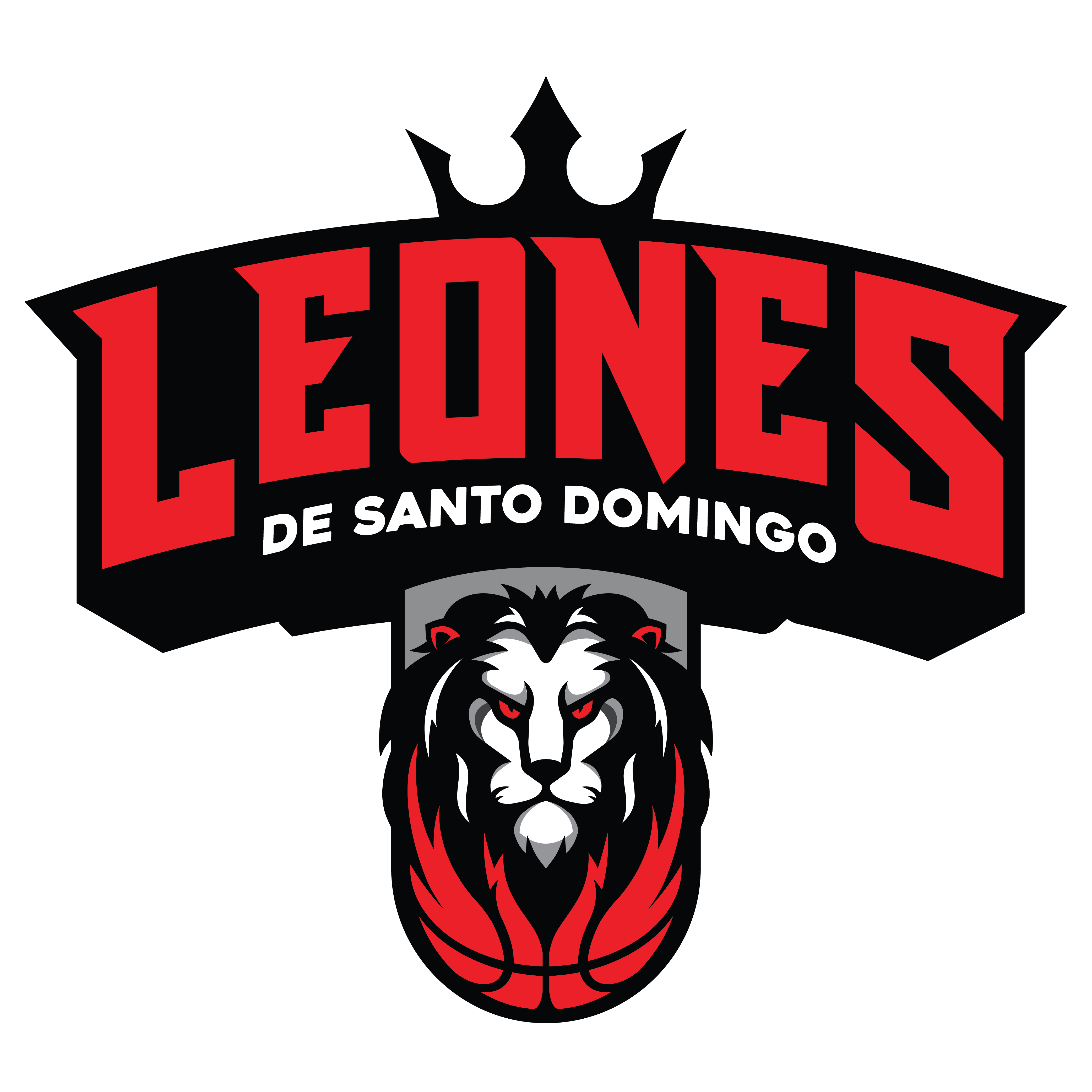 Leones de Santo Domingo